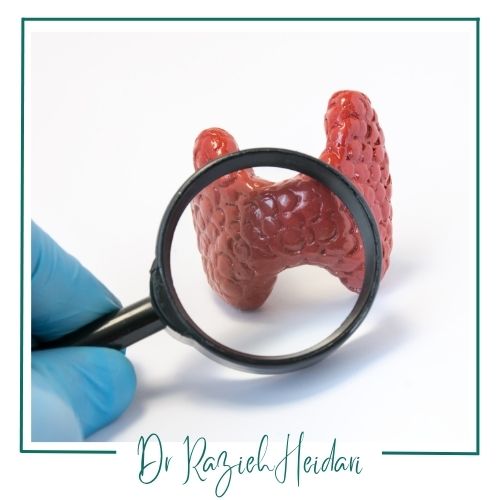 چرا تیروئید اهمیت دارد؟ چرا تیروئید اهمیت دارد؟